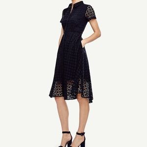 Ann Taylor Eyelet Shirt Dress